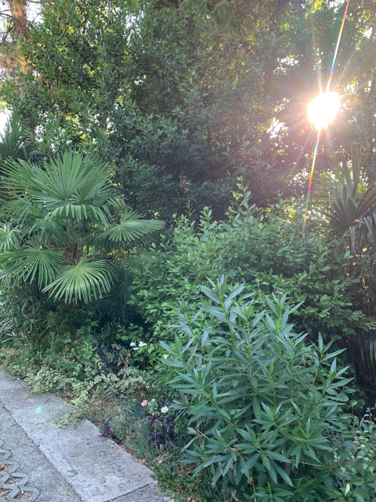Sheltered Green Oasis In オパティヤ エクステリア 写真